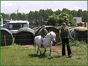 Auch reiten auf dem Ponny will gelernt sein... Auch reiten auf dem Ponny will gelernt sein...