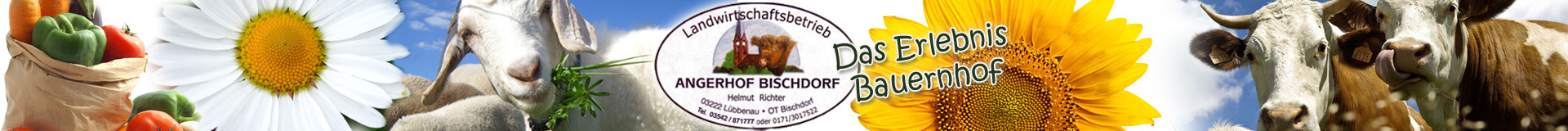 Ferienwohnung Lübbenau-Bischdorf