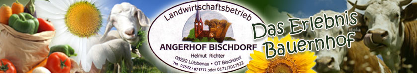 Angerhof Bischdorf 